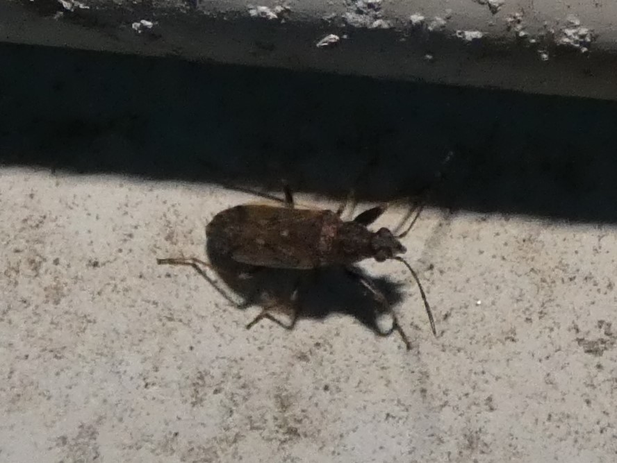 photo_1